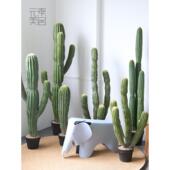 饰摩洛哥仙人掌柱盆栽地板站立假植物商店 室内模拟植物装 仙人掌
