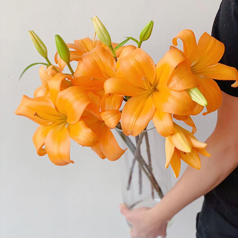 夏季好养橙色亚百合花鲜花云南直发无香味家用办公水养礼品送人