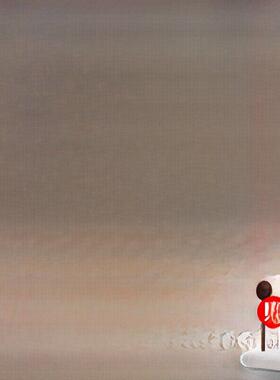 Welhome Zd10N电动磨豆机家用咖啡豆研磨粉意式浓缩咖啡手冲小型