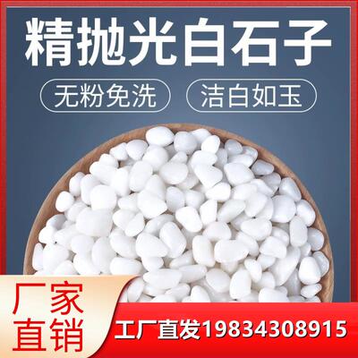辽宁天然白石子鹅卵石雨花石铺路原石庭院造景盆栽装饰白色石头