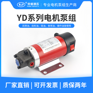 220V便携式 静音抽油泵保养加油4s店抽油齿轮泵工业电动柴油齿轮泵