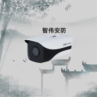 大华200万POE内置音频红外网络摄像机 HFW1230M IPC