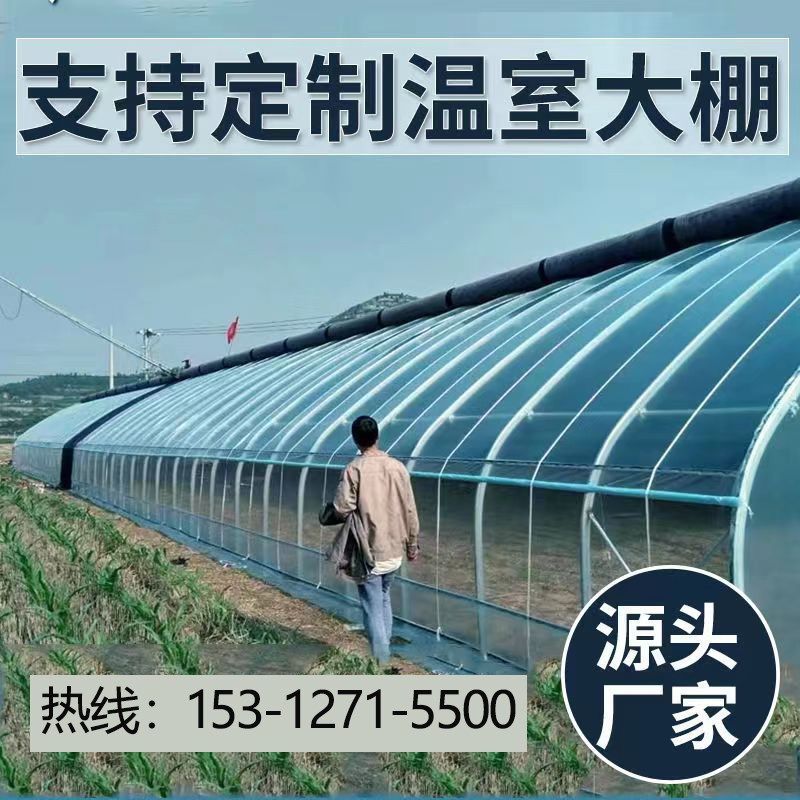 温室大棚骨架钢管养殖种植家用全套猪鸡舍钢架连栋配件简易蔬菜棚