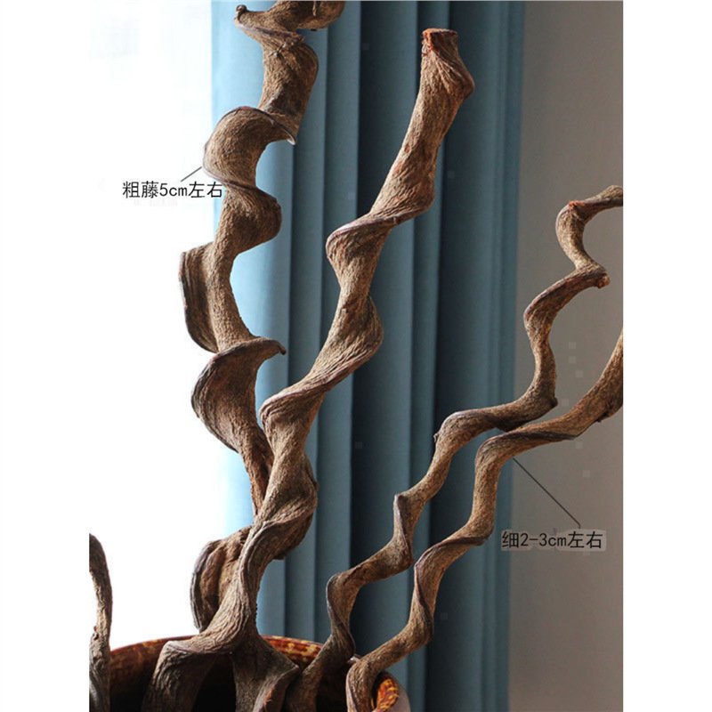 进口过江龙藤条干树枝树干枯枝客厅餐厅样板间软装饰藤条插花干支