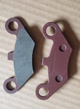 时风电动车D503刹车片碟刹片 风景3号8号后轮分泵刹车片碟刹片