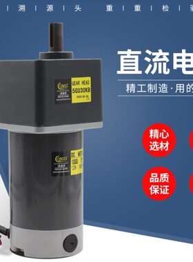 W9减速电机电机J65/流G津晟邦0120N/W100SW2412V直/ 功率W48V//20