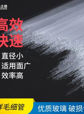 0支10 管*  1径.细 0104玻璃..毛.内5mmm样3.点管 0点样020实验室