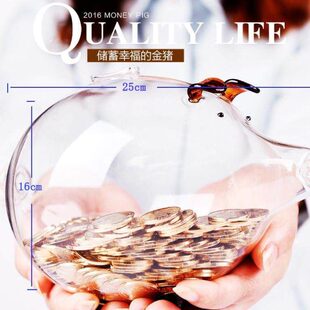 小礼物猪肖储存罐玻璃金猪钱摆件透明存可爱 储蓄罐生年猪猪 大号