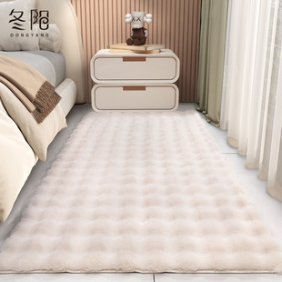 地毯卧室床边毯2024新款 高级感客厅沙发茶几房间床尾飘窗毛绒地垫