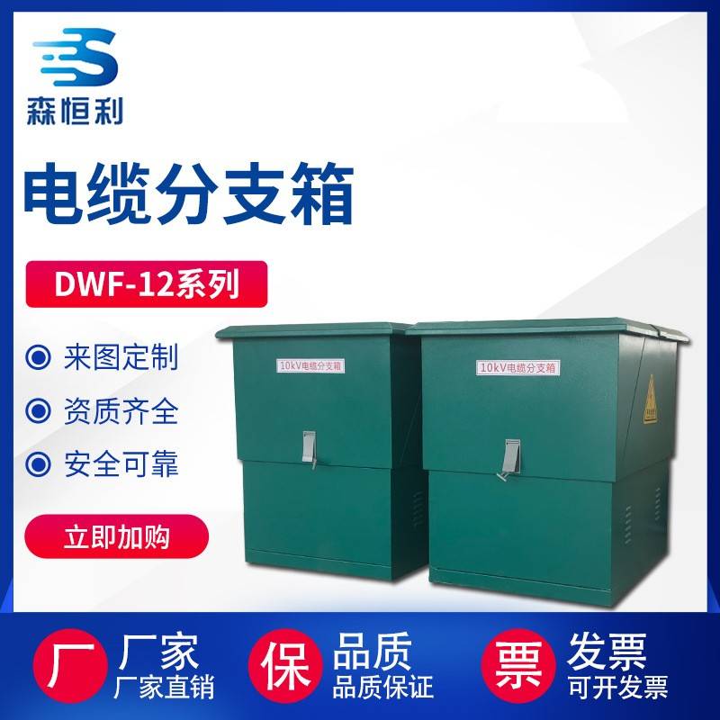 电缆分支箱双开门高压欧式10kv不锈钢户外分接箱铁DFW-12系列