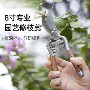 德国修枝剪家用花园修花园艺园林果树强力树枝剪高档锋利花剪