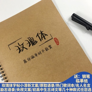 玫瑰体女生手写漂亮练字帖央视文案大报金句励志语录钢笔临摹练字