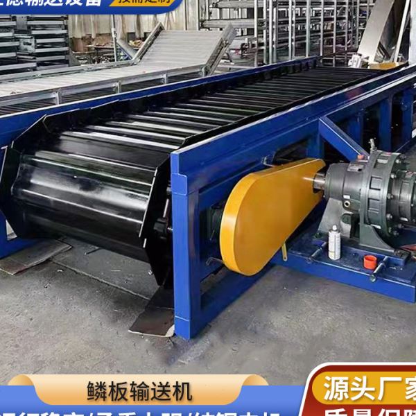 非标碳钢重型链板输送机 输送设备工业重载重型不锈钢鳞板输送机