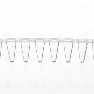 白色pcr管8连管光学平盖0.1mLPCR8联排管盖3310178Virya科学试验