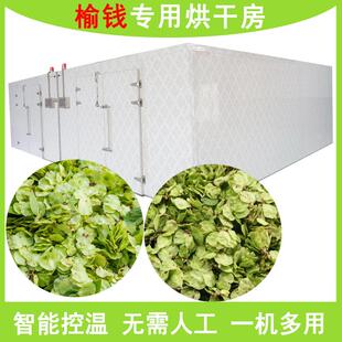 榆钱烘干机农产品烘干房榆钱儿榆钱树叶烘干箱榆实榆子脱水烘干