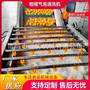 商用果脯气泡清洗机无花果干鼓泡翻浪清洗机杏干去杂气泡清洗机