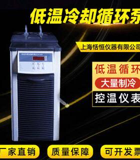 CCA-20小型冷却水循环泵低温冷却液循环泵台式循环低温泵