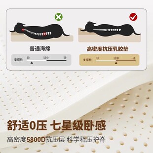 通用猫床睡觉用睡垫耐抓耐咬 猫沙发可拆洗轻奢宠物窝防水防尿四季