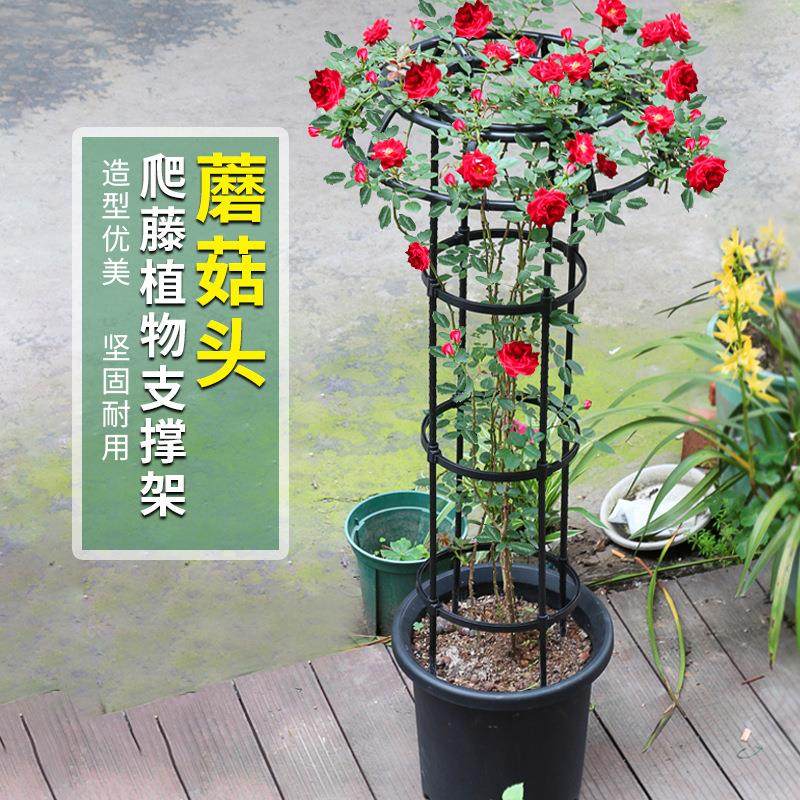 跨境拼接式伞形攀爬支撑杆月季爬藤架园艺植物爬藤花架铁艺花支架