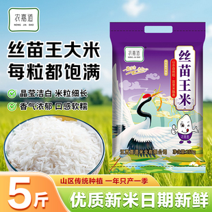 农嘉道丝苗米1斤大米5kg长粒香大米10斤当季优质新米一斤特价10kg