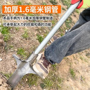 挖树铲子尖头铁锹锰钢洛阳铲挖土坑松土树根起苗神器农用工具大全