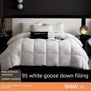 新国标95白鹅绒棉被蓬松加厚高档保暖棉被芯B0008