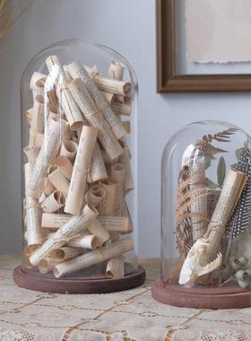 书房样板房玻璃罩科普植物饰品花卉植物主题永恒花卉展示配件盒装