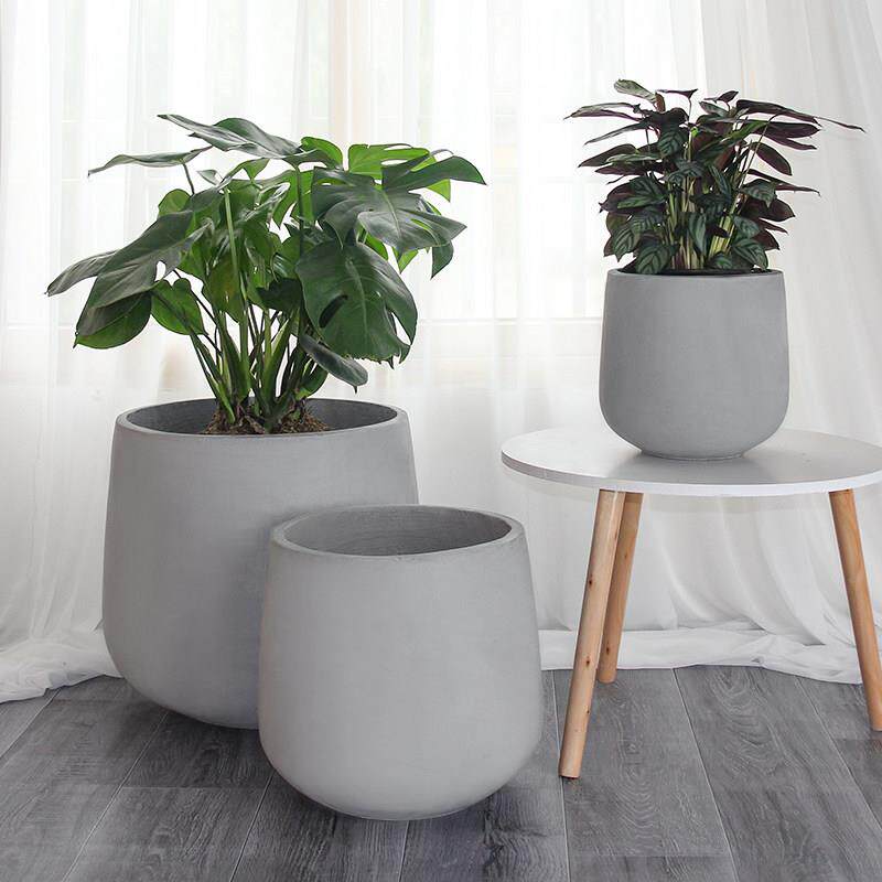 酒杯圆形彷水泥花盆花盆斯堪的纳维亚简约大型落地式兰花绿色植物