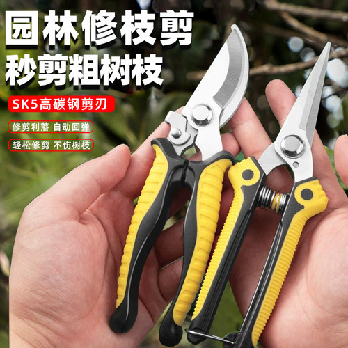 不锈钢园艺剪刀剪枝修花专用工具