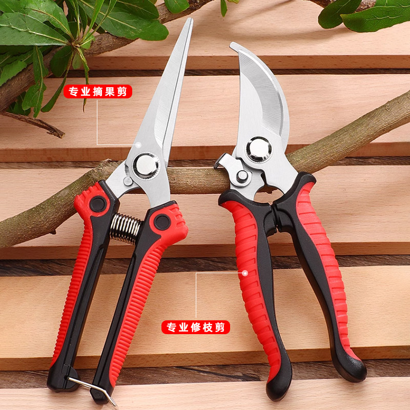 不锈钢强力修花剪树枝摘果粗枝叶芽剪葡萄剪鲜花插花园艺花艺剪刀