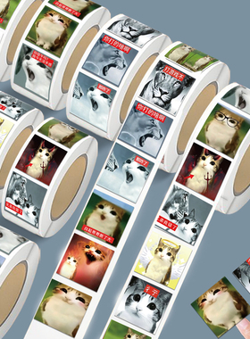 白起哥哥断了大新款meowl猫头鹰表情包卷卷贴纸抽象猫meme封口贴