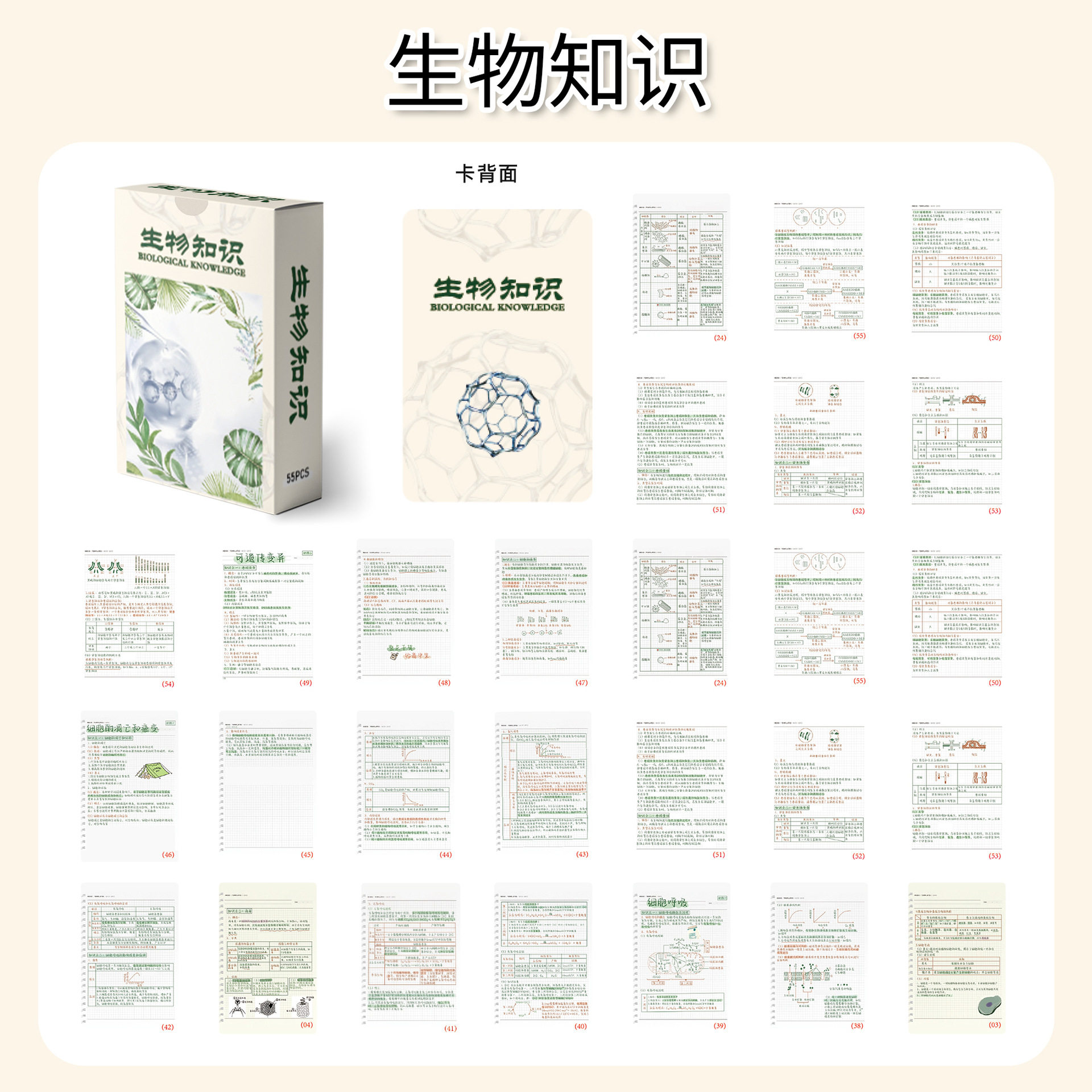 55张生物知识小卡中考必背知识点中考速记知识点总结diy卡牌lomo