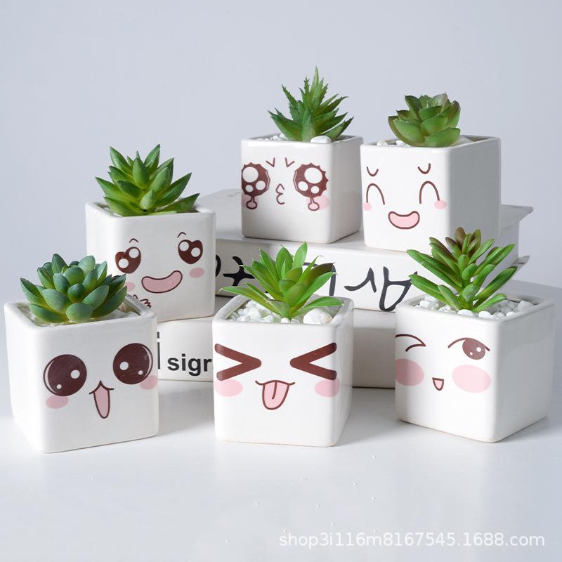 厂家亚马逊多肉盆方形清新陶瓷仙人掌小盆表情家居园艺盆创意