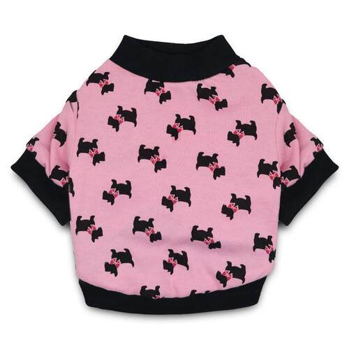 狗衣服猫咪中小型犬泰迪两脚衣幼犬小奶狗博美宠物装春秋偏厚短袖