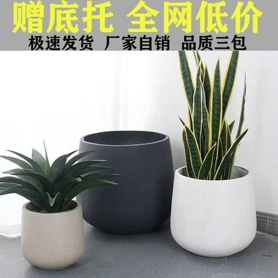 大花蕙兰花盆升级镁泥花盆水泥花盆透气简约圆形花盆仿真植物盆栽