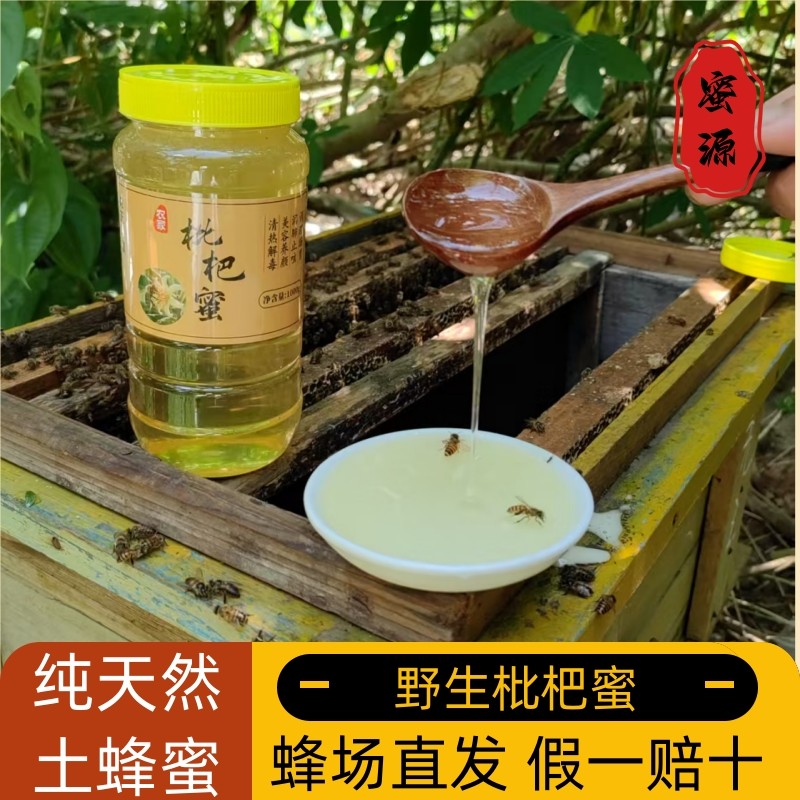纯正宗天然枇杷蜜农家自产野生土蜂蜜美容养生儿童孕妇500g无添加