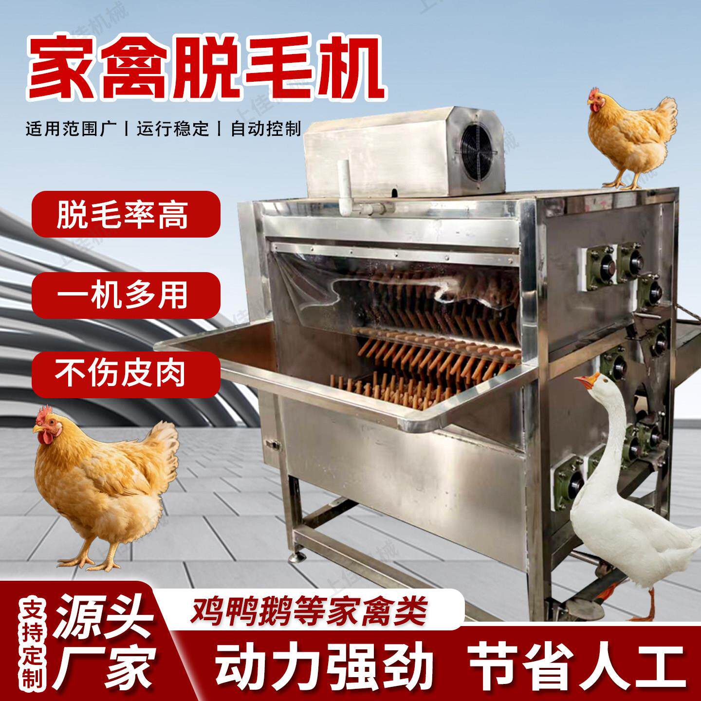 鸡鸭鹅家禽鸽子脱毛机全自动商用新款打毛褪毛鸡毛鸭毛脱毛机器