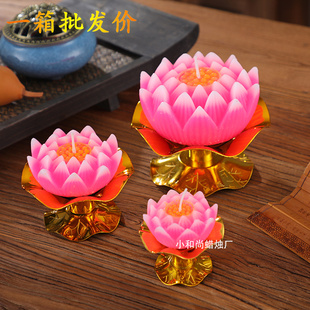 整箱装 还愿酥油灯 小和尚莲花灯蜡烛供佛具教家用荷花蜡烛 装