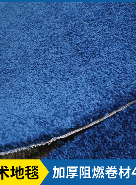 蓝色加厚10-12mm厚弯头纱地毯B1级阻燃办公室武术馆大面积整铺4米