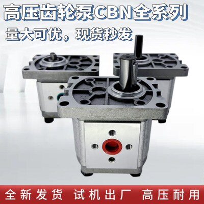 CBN-F316齿轮泵CBN-F314/CBN-F306/CBNE-F310/CBN-F320/CBN-304/C