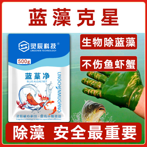 灵辰牧港水产养殖蓝藻净除蓝藻