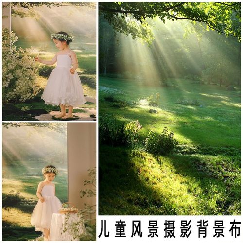 新款风景室内摄影背景布影楼儿童梦幻森系拍照小清新家用写真布