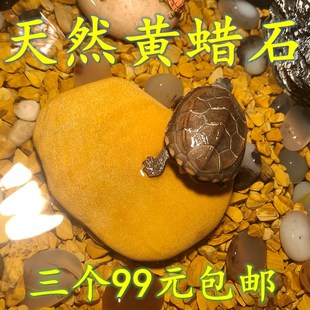 乌龟晒台天然黄蜡腊石头爬宠晒背发色垫步鱼龟缸造景方砖平板碎石