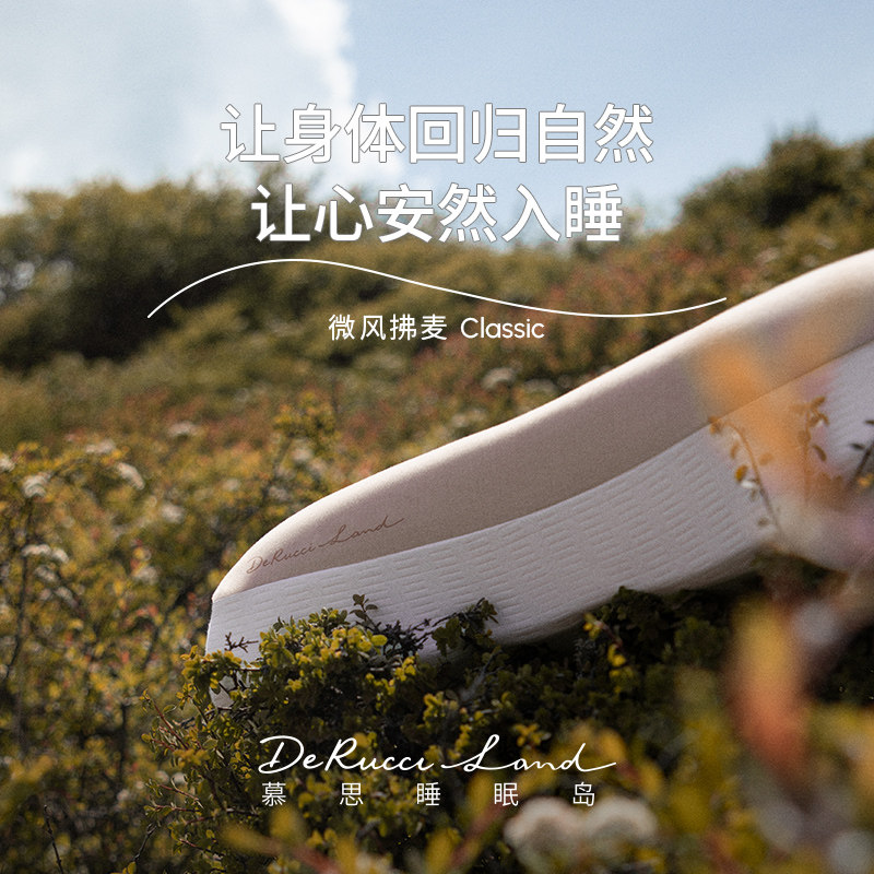 慕思睡眠岛【活动特惠】护颈椎助睡眠记忆棉枕头男女生成人家用