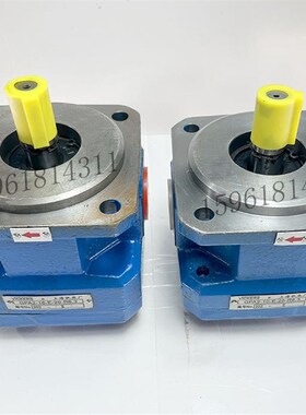 外圆磨床油泵包邮gM1432B磨床M1332BGPA2-10-E-20R MQ1350齿轮油