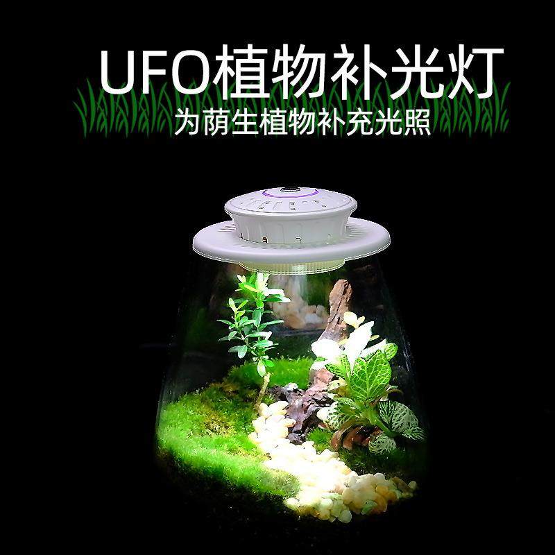 植物灯UFO微景观补光灯苔藓生态瓶灯led植物生长灯小型植物灯