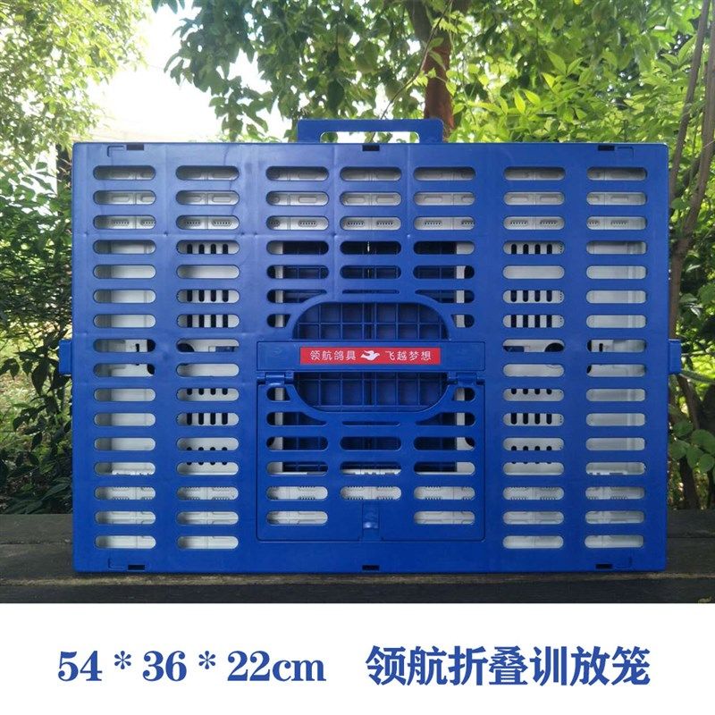 领航报道笼放飞训放笼塑料折叠训鸽笼子信鸽用品用具鸽具赛鸽笼