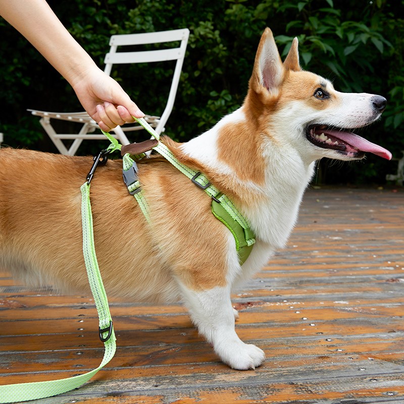 狗狗牵引绳背心式中型犬柯基柴犬法斗遛狗绳子夏天网红宠物胸背带