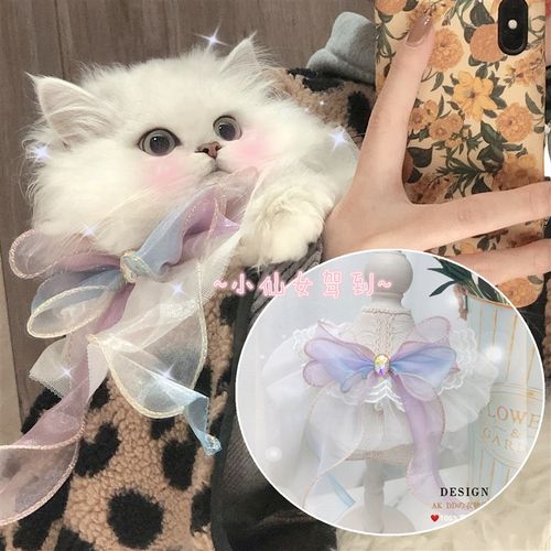 猫咪狗狗仙女口水巾公主风布偶蓝白英短泰迪柯基蕾丝围脖围嘴饰品