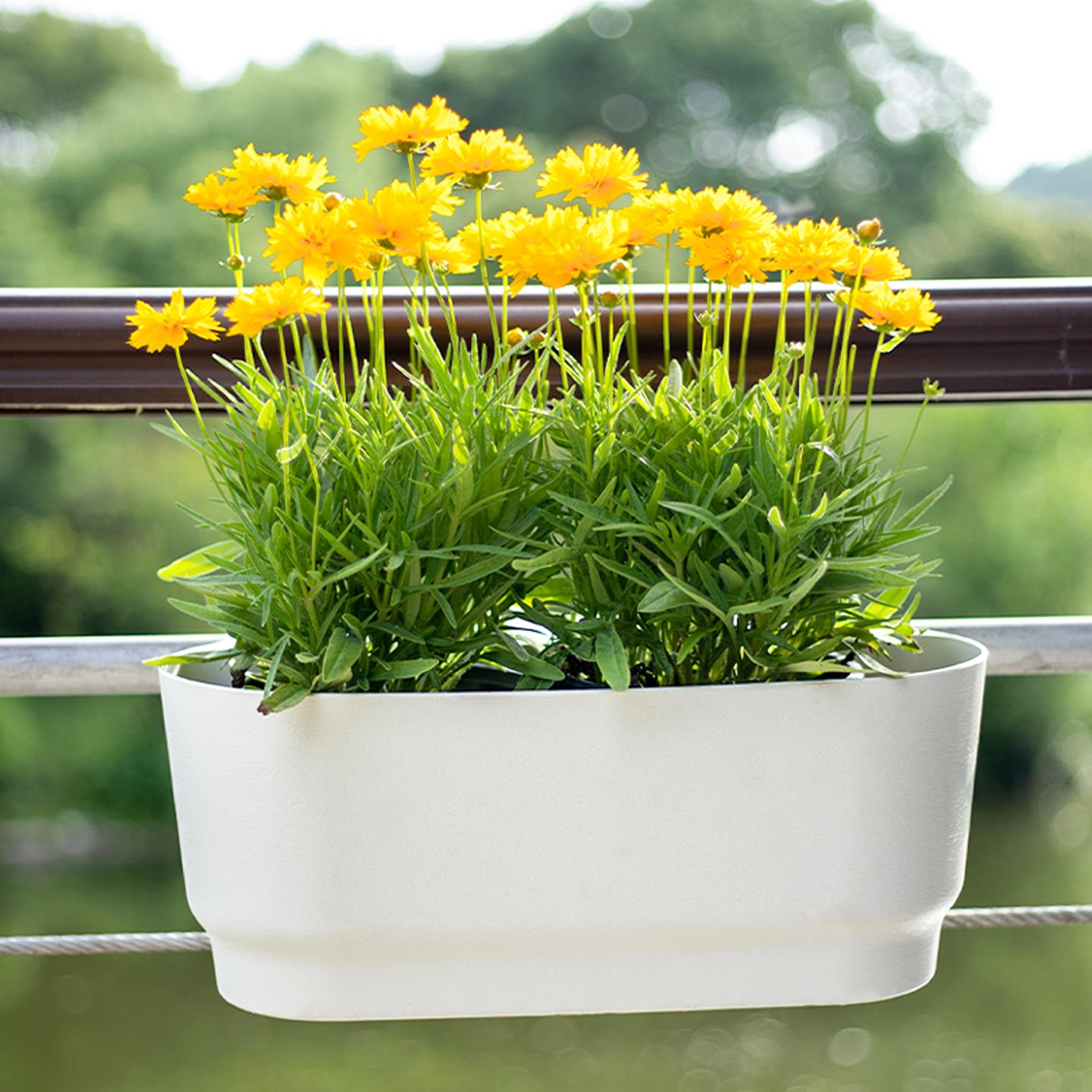 阳台悬挂式长方形花盆种菜盆懒人大号种植箱壁挂栏杆花篮吊篮塑料